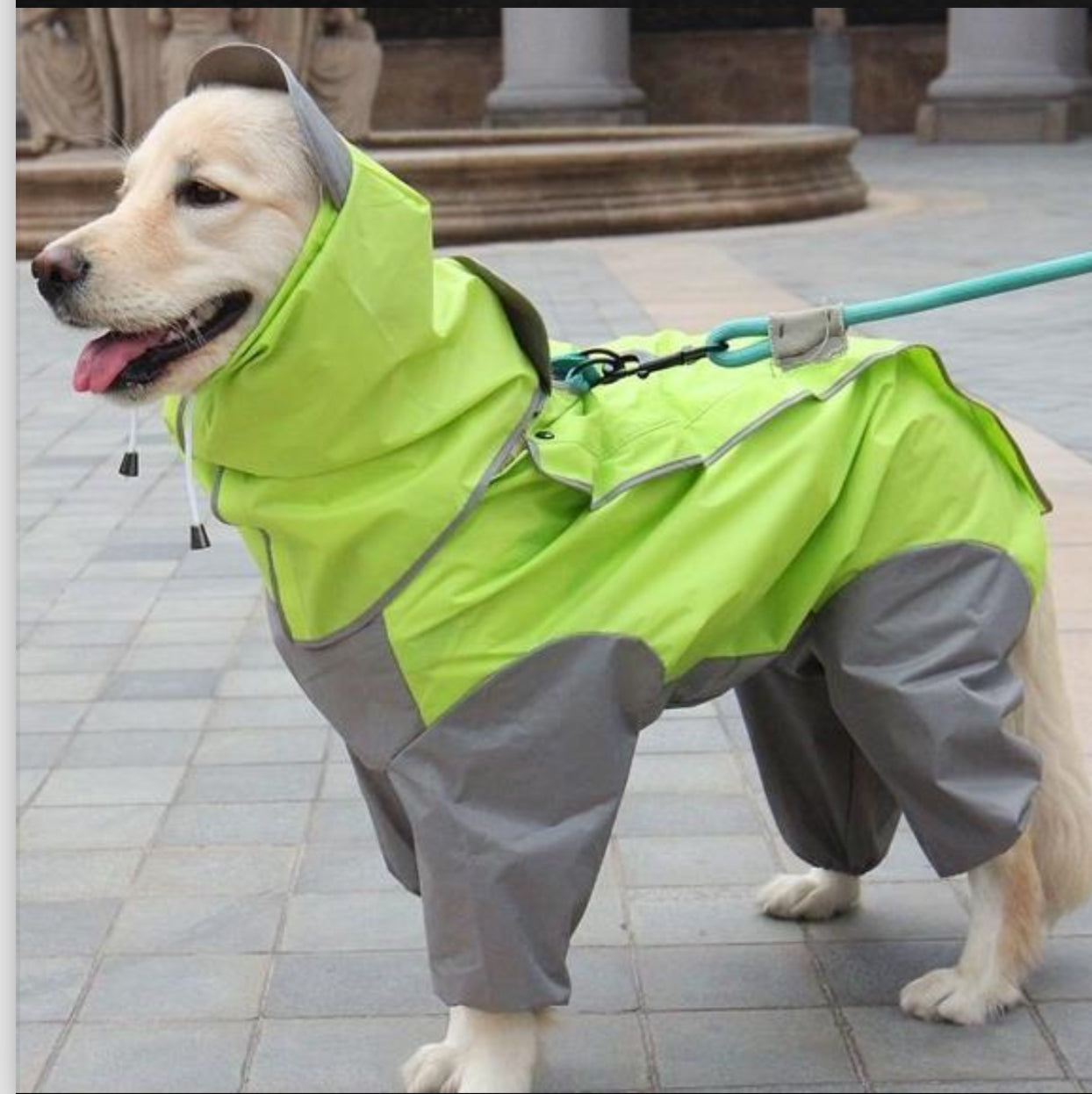 Longneck Raincoat for dogs