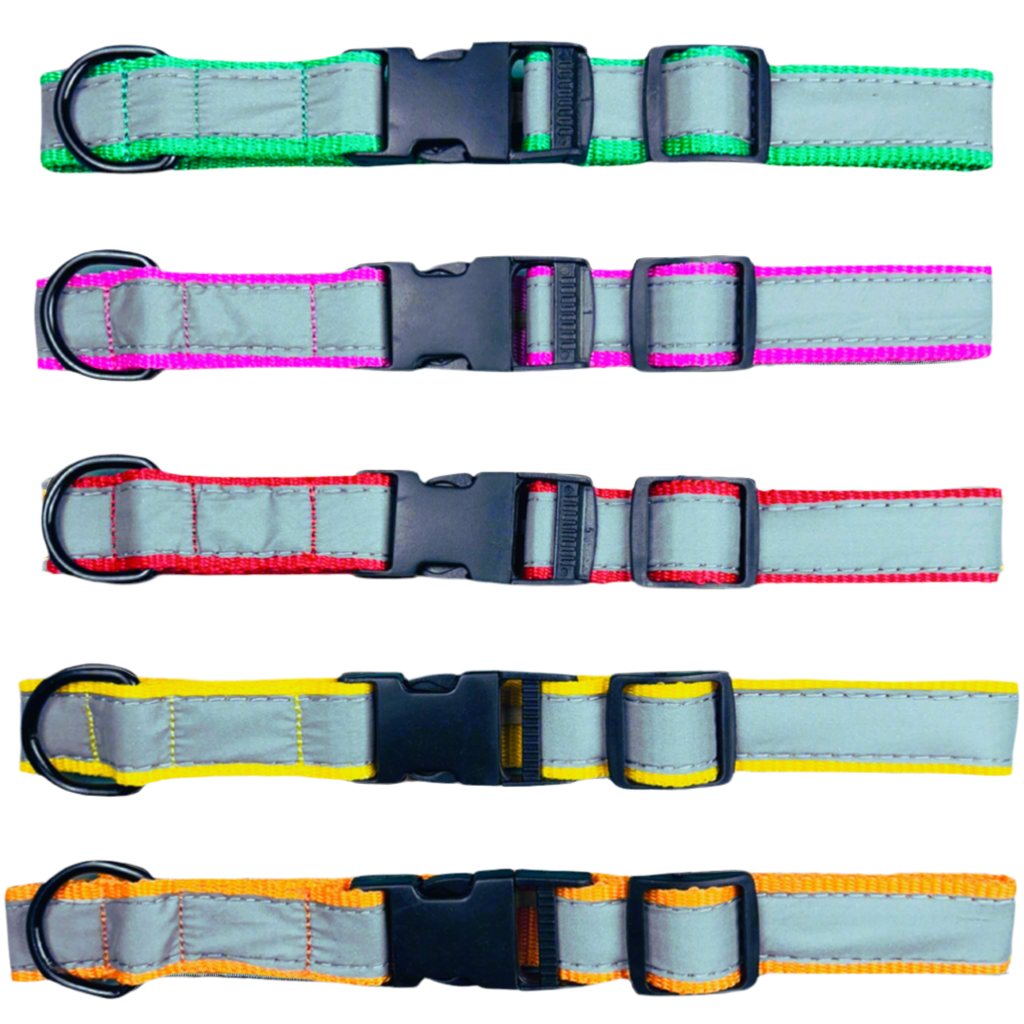 Reflective collar for street dog