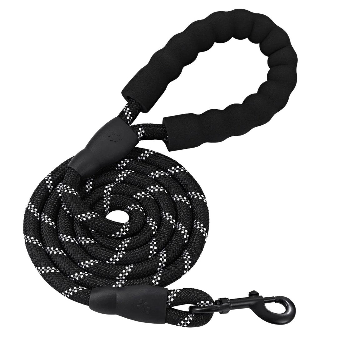 Heavy Duty Nylon Dog Leash - Mrdoggu
