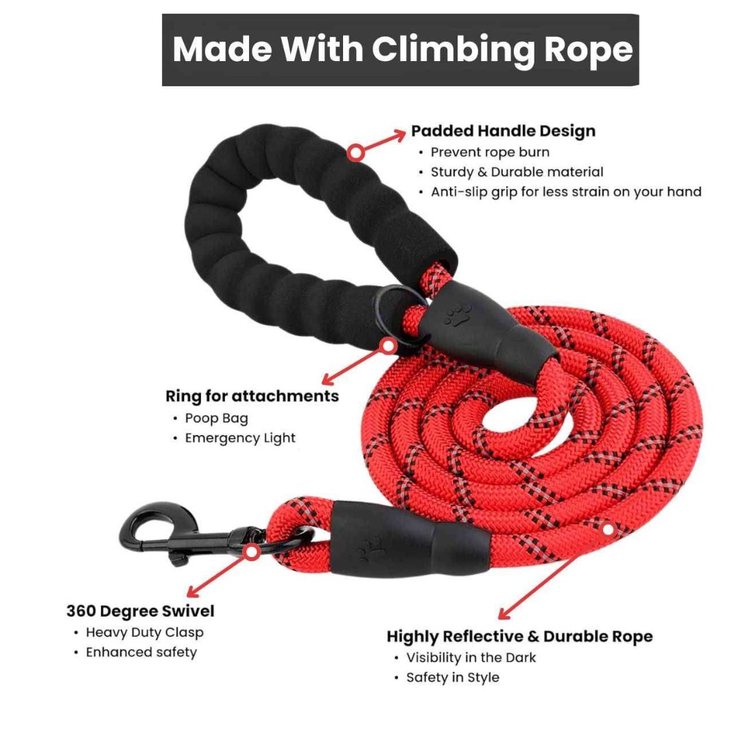 Heavy Duty Nylon Dog Leash - Mrdoggu