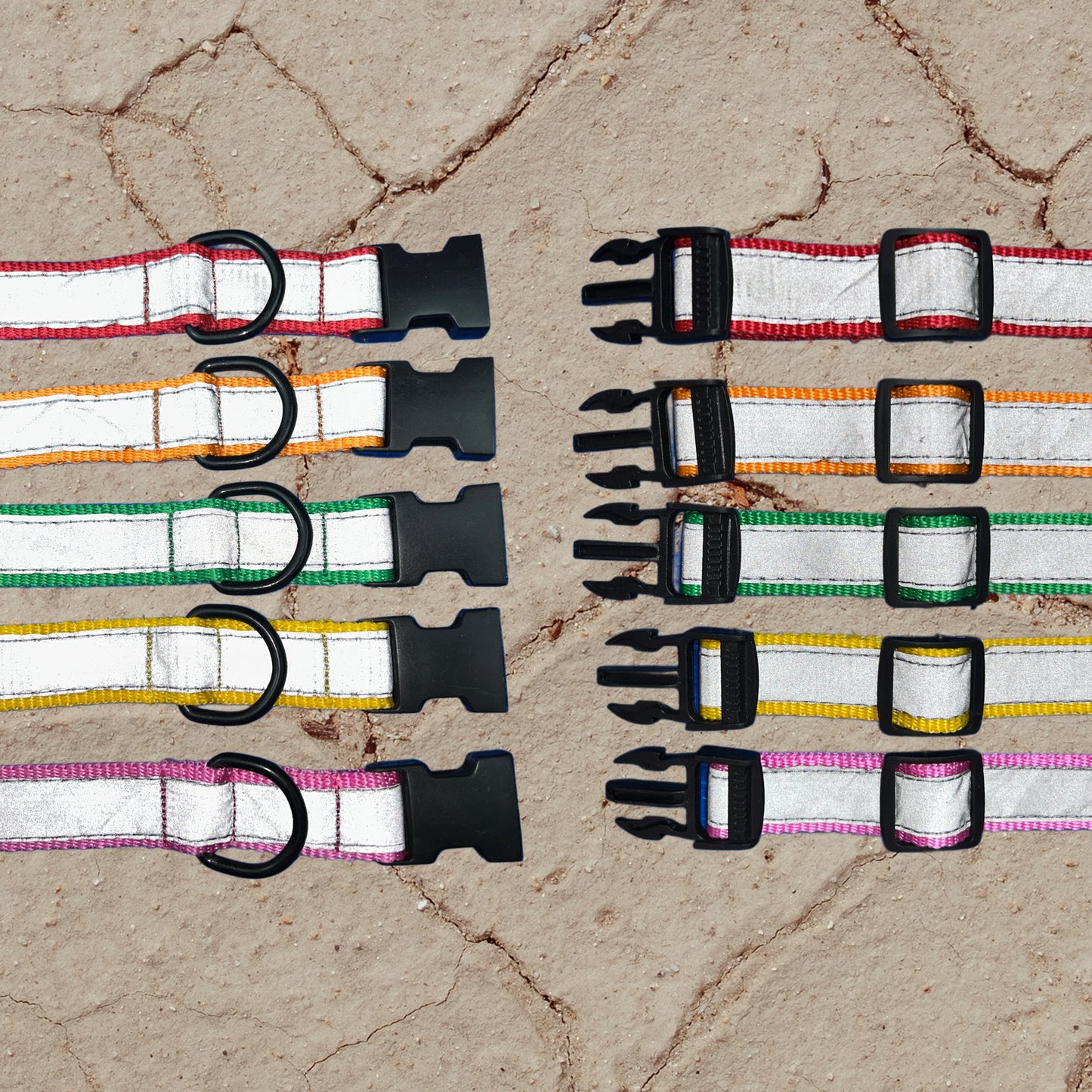 Reflective collar for street dog
