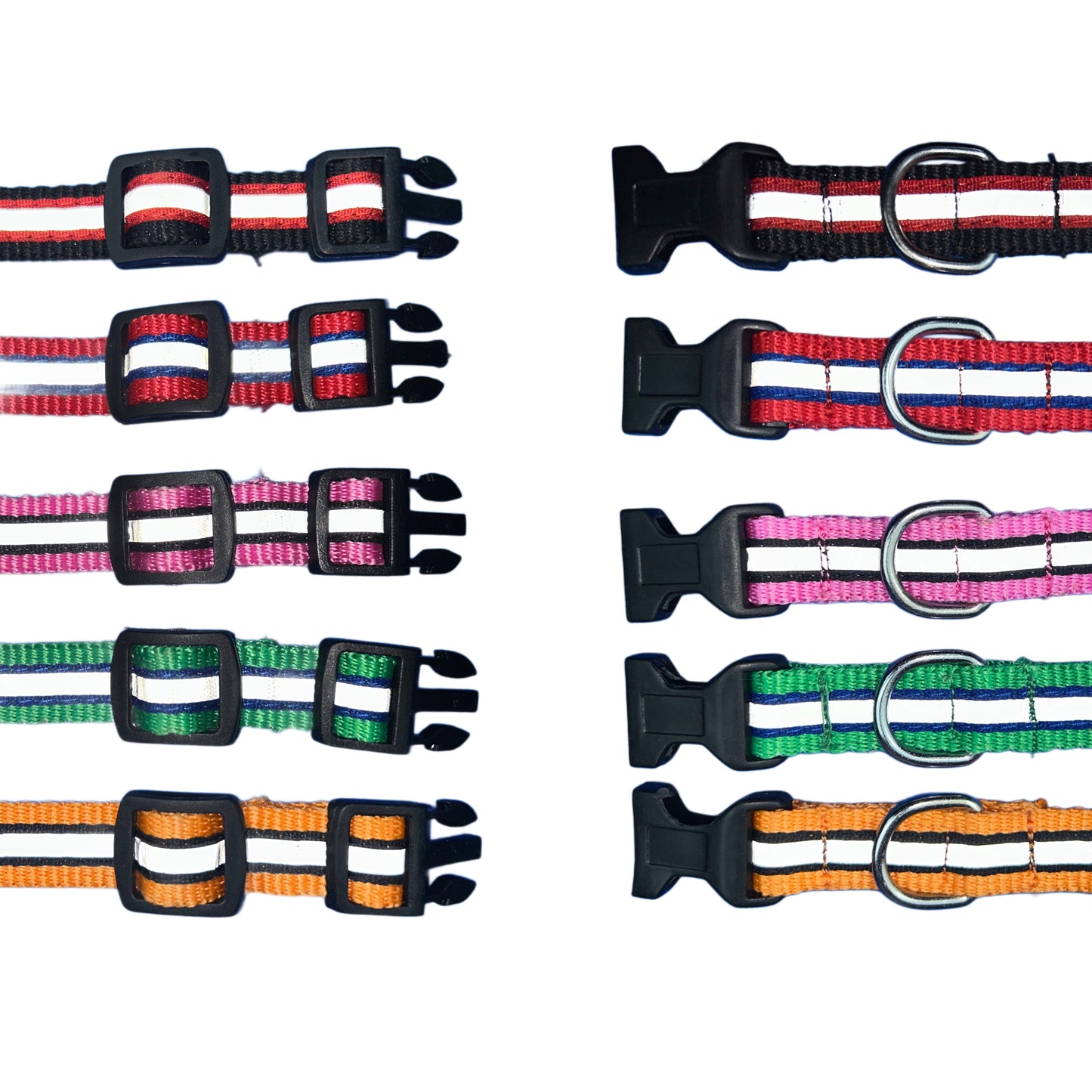 Reflective Collars for street dogs