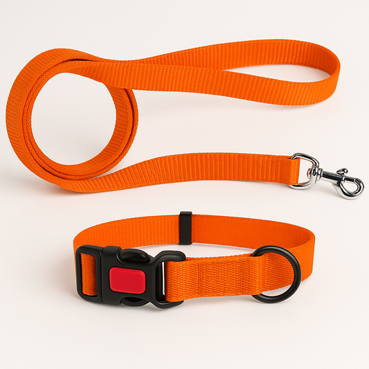 COMBO Polyester (collar+lease)
